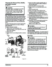 Toro 51986 Powervac Gas-Powered Blower Owners Manual, 2012 page 19