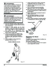 Toro 51986 Powervac Gas-Powered Blower Owners Manual, 2012 page 42