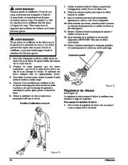 Toro 51985 Powervac Gas-Powered Blower Owners Manual, 2012 page 42